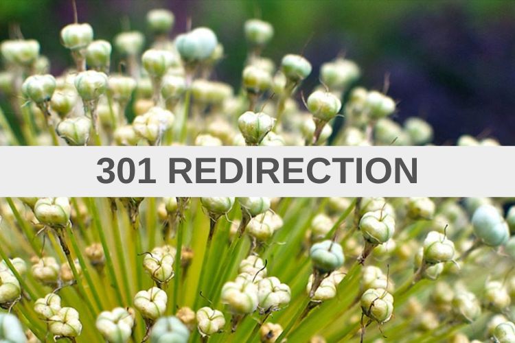 3 Best WordPress Redirection Plugins